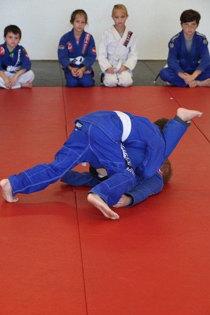 Brazilian-Jiu-Jitsu Academy