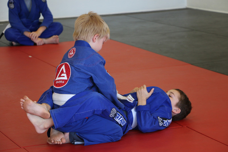 Brazilian-Jiu-Jitsu Academy