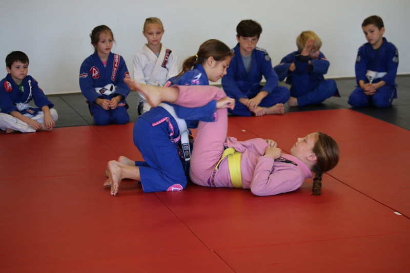 Brazilian-Jiu-Jitsu Academy