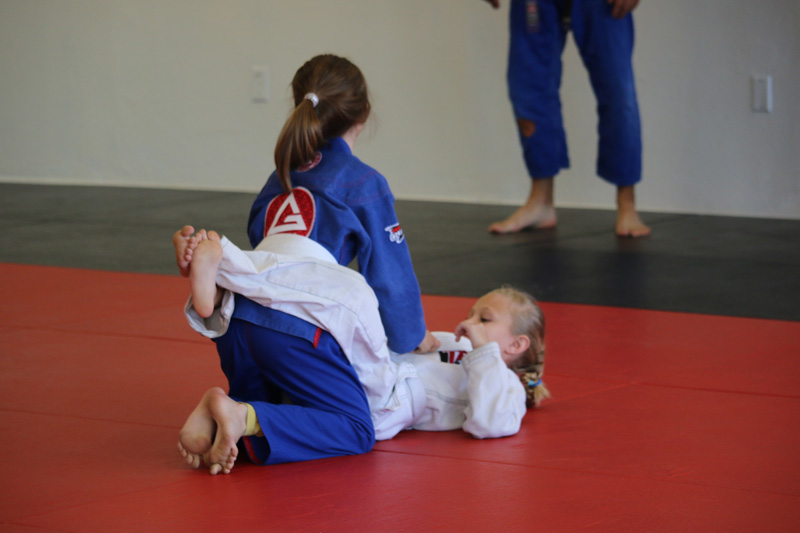 Brazilian-Jiu-Jitsu Academy