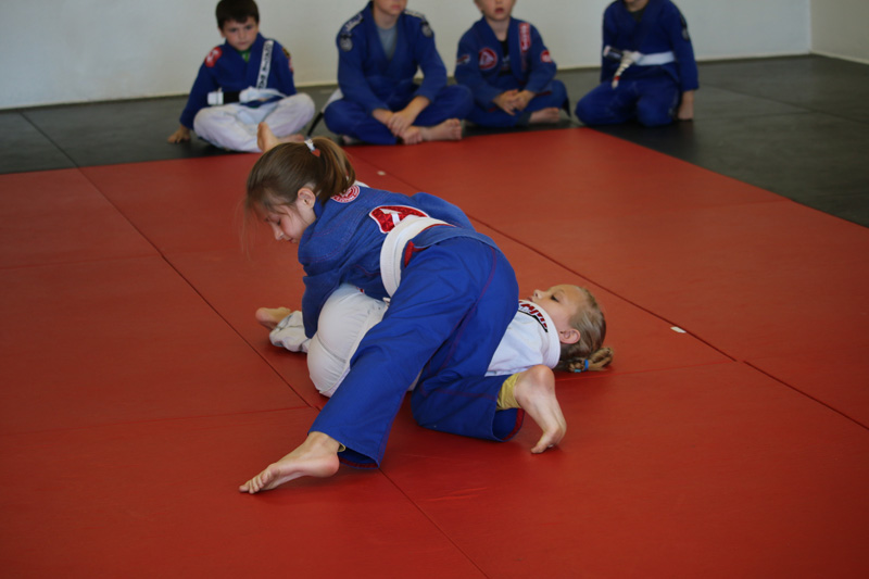 Brazilian-Jiu-Jitsu Academy