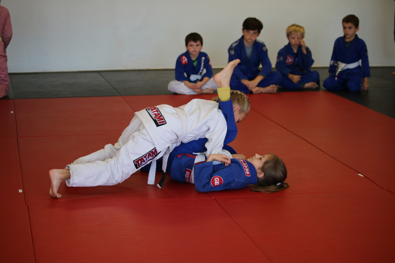 Brazilian-Jiu-Jitsu Academy