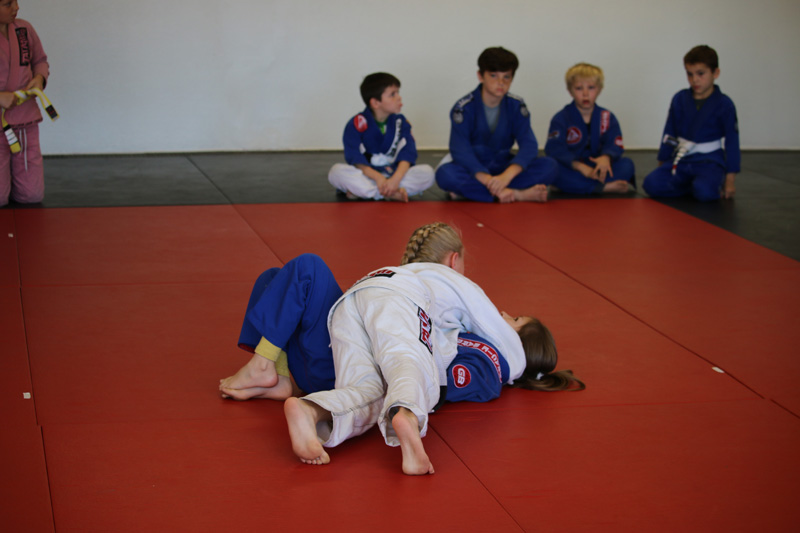 Brazilian-Jiu-Jitsu Academy