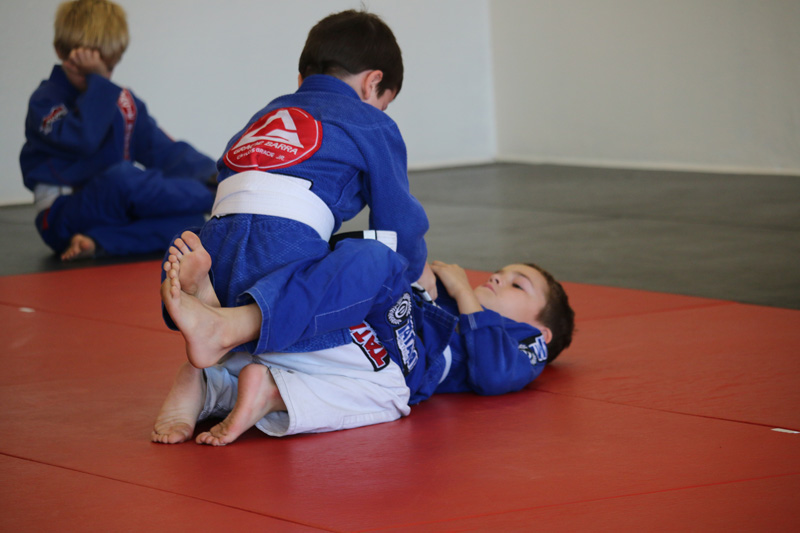 Brazilian-Jiu-Jitsu Academy