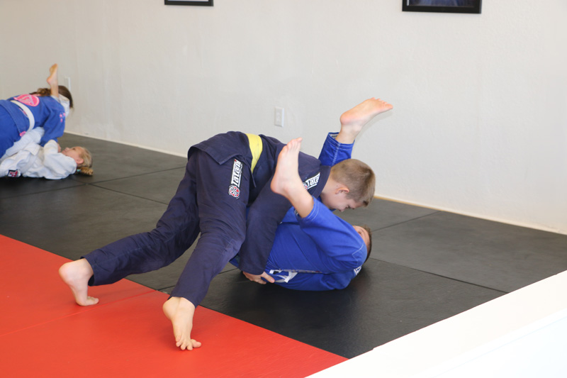 Brazilian-Jiu-Jitsu Academy