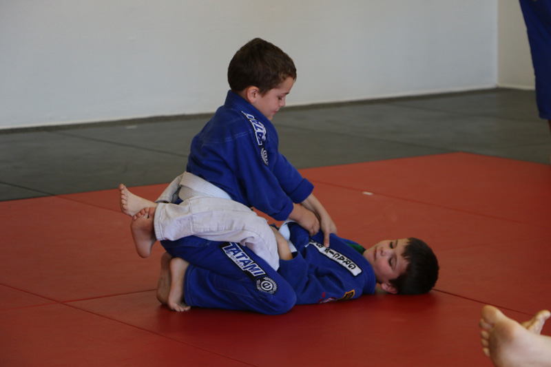 Brazilian-Jiu-Jitsu Academy