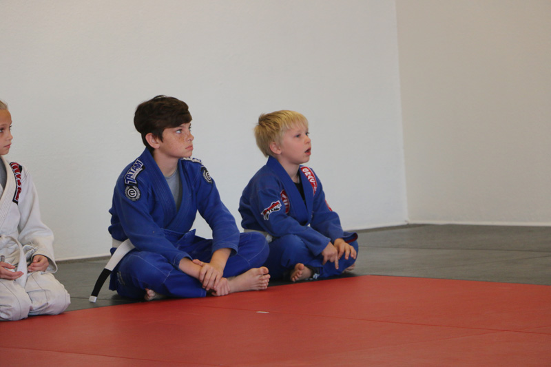 Brazilian-Jiu-Jitsu Academy