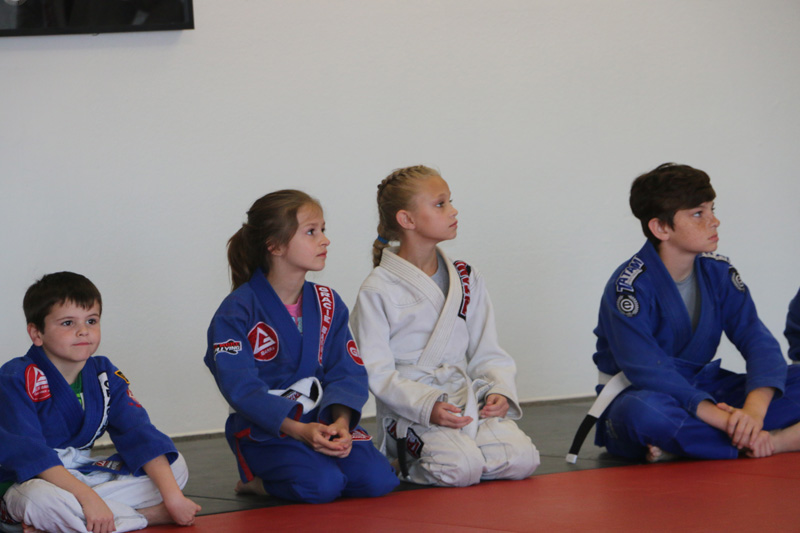 Brazilian-Jiu-Jitsu Academy