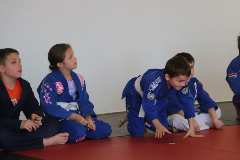 Brazilian-Jiu-Jitsu Academy