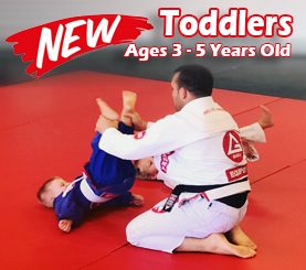 Toddlers Martial Arts Classes ages 3-5 Years Old in Trinity & New Port Richey Florida